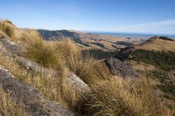 Image: Kerry Ford © Landcare Research 